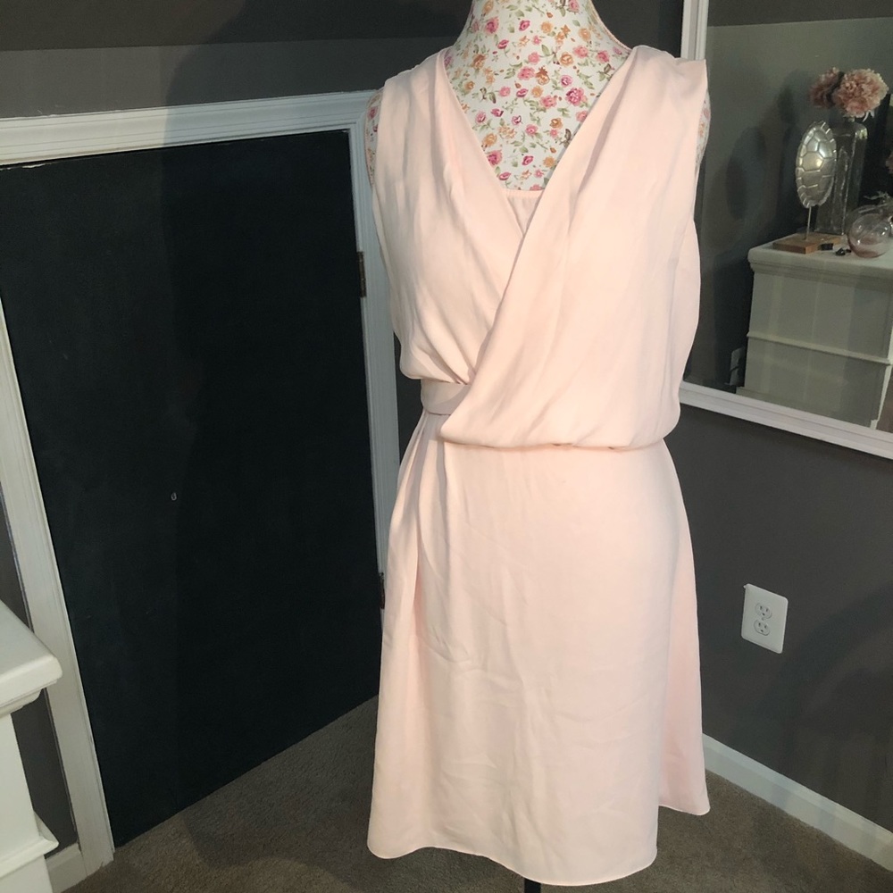 Blush Fit and Flare Dress